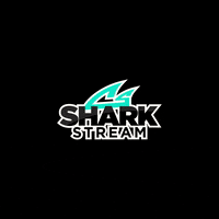 Cheerleading GIF by Cheer Sport Sharks