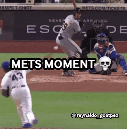New York Mets Baseball GIF