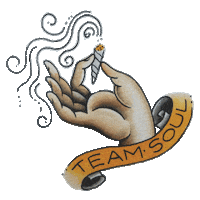 Tst Sticker by teamsoul
