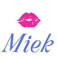 Kus Smile Sticker by miekinvorm