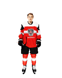 Happy Dance Sticker by International Ice Hockey Federation