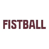 Sport Ball Sticker by Faustball Traun - St.Martin
