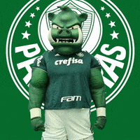 mascote nao vai filmar GIF by SE Palmeiras