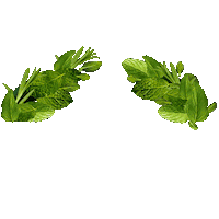 crown_rosemary_mint_choppy Sticker by Aveda