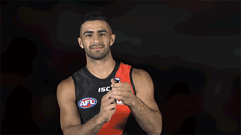 goal afl GIF by Essendon FC
