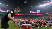 Winning World Cup GIF by Respective