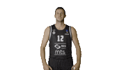 Partizan Sticker by sportmts