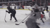 QCStorm storm quad city storm qc storm qcstorm GIF