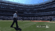 new york yankees baseball GIF by MLB