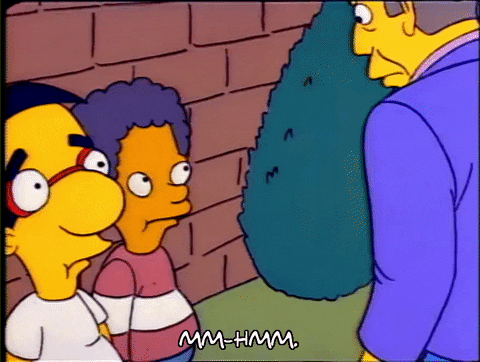 Season 1 GIF by The Simpsons