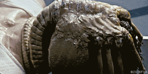 scared ridley scott GIF by foxhorror