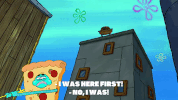 season 9 GIF by SpongeBob SquarePants