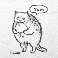 Cat Eating GIF