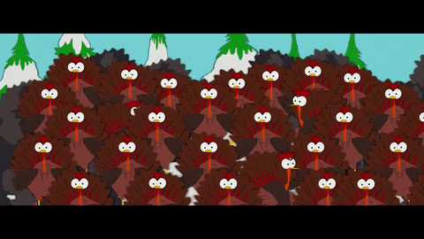 turkeys staring GIF by South Park 