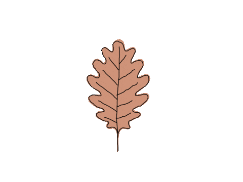 Fall Autumn Sticker