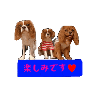 Dogs Puppy Sticker