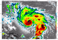 hurricane dorian GIF