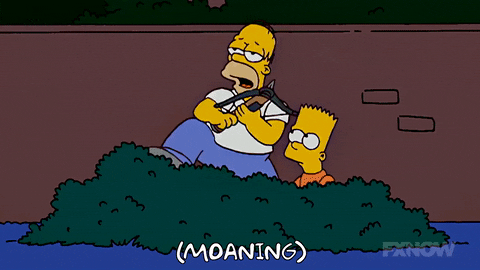 Episode 15 GIF by The Simpsons
