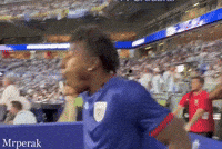 World Cup Argentina GIF