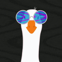 JeffBlue crypto vibes nft vibe GIF