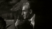 Iran Pahlavi GIF