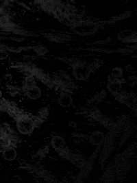 thanksmas GIF