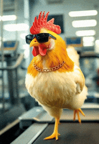 Pincel_app running run sunglasses chicken GIF