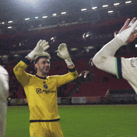New Zealand Hug GIF by MillwallFC