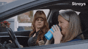 Season 2 Cbc GIF by Strays