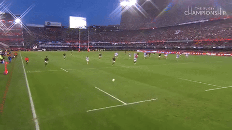 lorenzocalamai giphyupload GIF