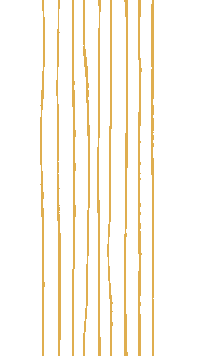 Branding Lines Sticker by Brand Better