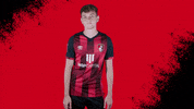 Happy Nodding GIF by AFC Bournemouth