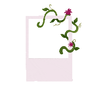 Picture Photo Sticker