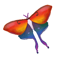 Luna Moth Rainbow Sticker by Contextual.Matters