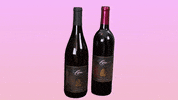 LeahVanDale cheers wine drinks salute GIF