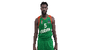 Mikaelhopkins Sticker by kkcedevitaolimpija