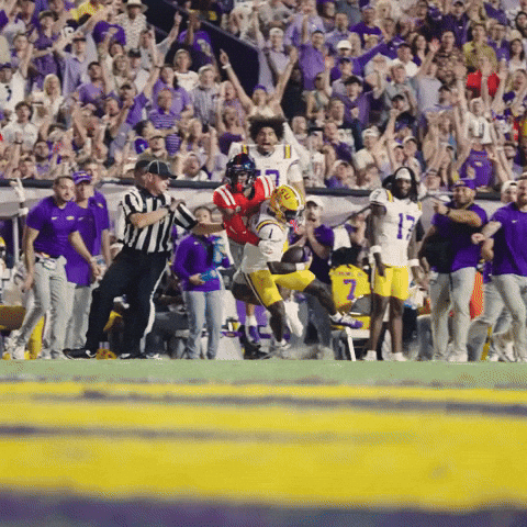 College Football Celebration GIF by LSU Tigers