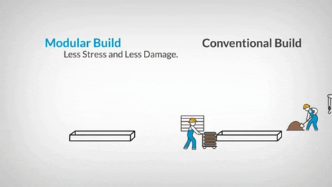 rogerlewis giphygifmaker GIF