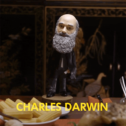 youtube video GIF