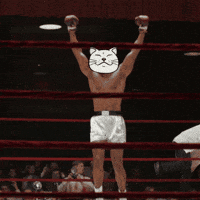 Kitty Win GIF by ShiroNeko