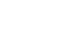 Bird Flying Sticker