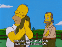 homer simpson episode 6 GIF