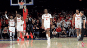 Lets Go Crowd GIF by St. John's Red Storm