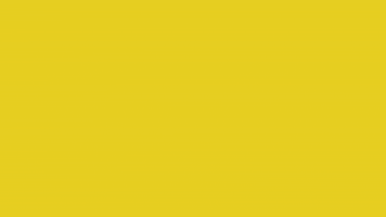 Art Video GIF by jorgemariozuleta