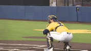 GIF by Michigan Athletics