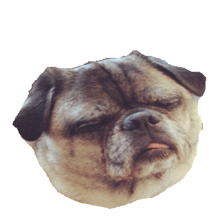 faded STICKER by imoji