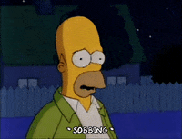 Season 3 Crying GIF by The Simpsons
