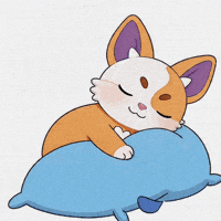 Good Night Cat GIF by Debellum