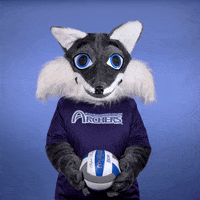 Ball Education GIF by St. Louis Community College