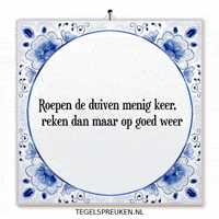 Humor Nl GIF by Tegelspreuken.nl